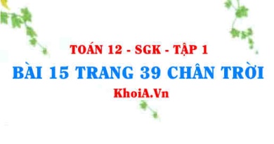 Bài 15 trang 39 Toán 12 Tập 1 Chân trời sáng tạo